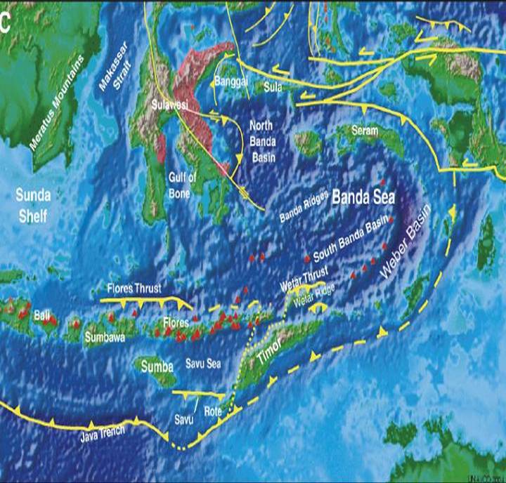 tektonik-indonesia-timur.jpg